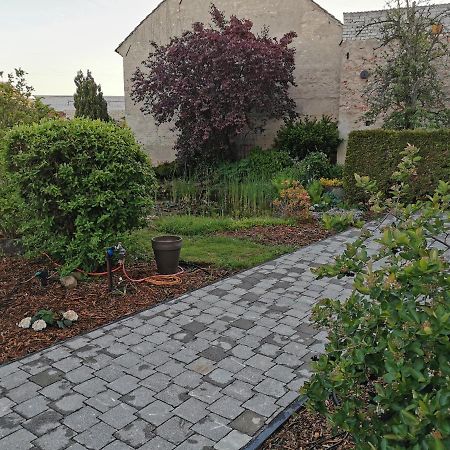 Fewo Rohleder De Mit 130M2 Und Garten Fuer 6Pers Mit 2 Bad 콧부스 외부 사진