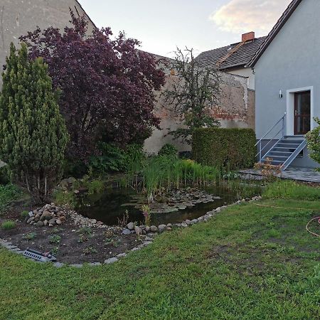 Fewo Rohleder De Mit 130M2 Und Garten Fuer 6Pers Mit 2 Bad 콧부스 외부 사진