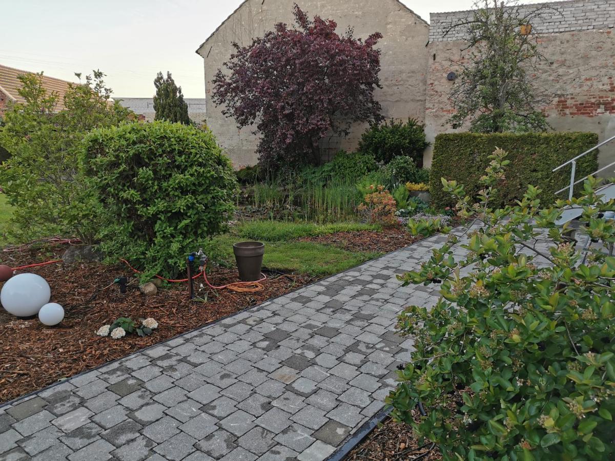 Fewo Rohleder De Mit 130M2 Und Garten Fuer 6Pers Mit 2 Bad 콧부스 외부 사진