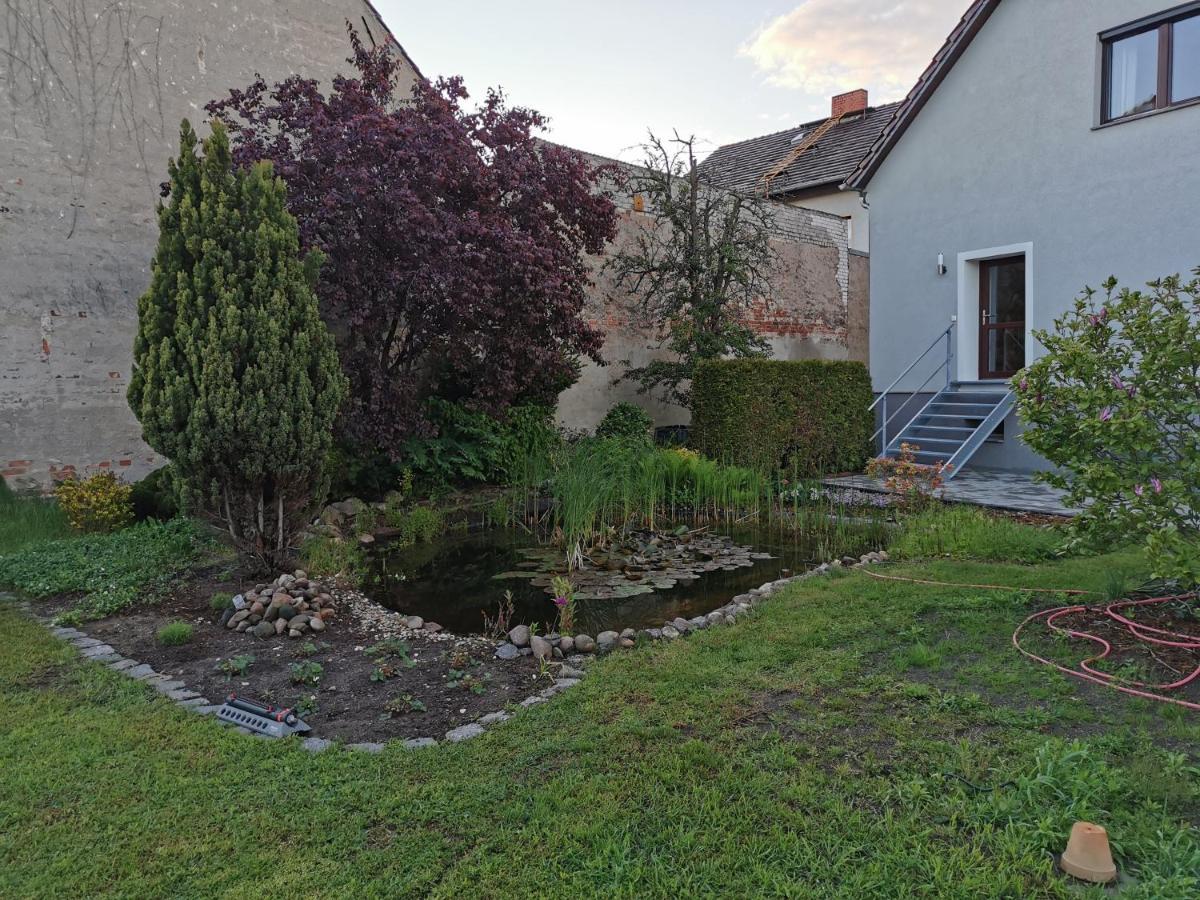 Fewo Rohleder De Mit 130M2 Und Garten Fuer 6Pers Mit 2 Bad 콧부스 외부 사진