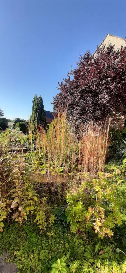Fewo Rohleder De Mit 130M2 Und Garten Fuer 6Pers Mit 2 Bad 콧부스 외부 사진
